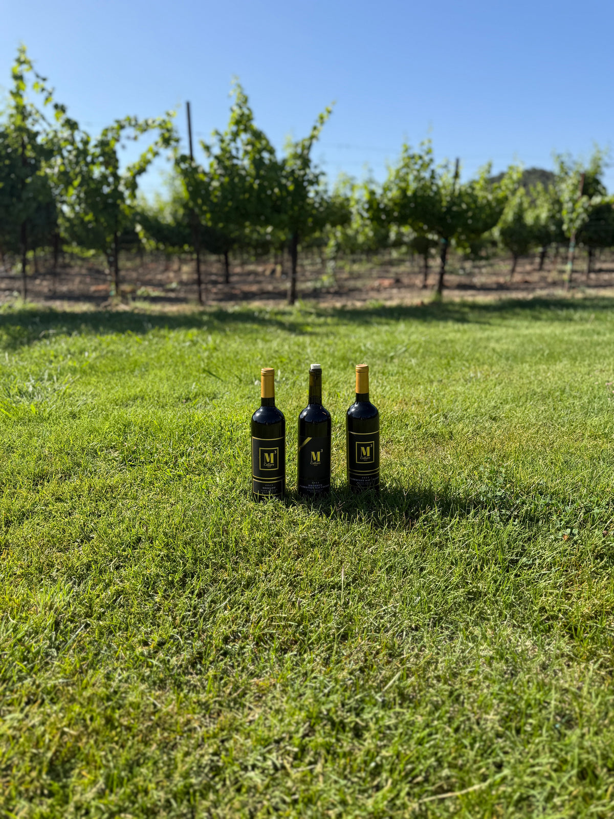 M3 Cellars